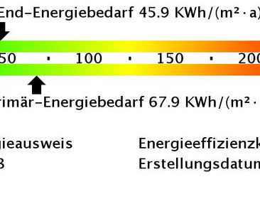 Allein oder zu Zweit? Chicer Neubau Auf'm Bruch - Foto 1