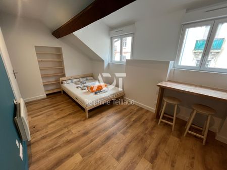 Location Appartement 1 pièce 17m² GRENOBLE 38000 - Photo 4