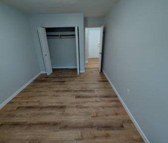 $1,950 / 1br - Beautiful, spacious fully renovated 2nd level suite - Photo 3