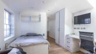 Large Premier Studio - Photo 5