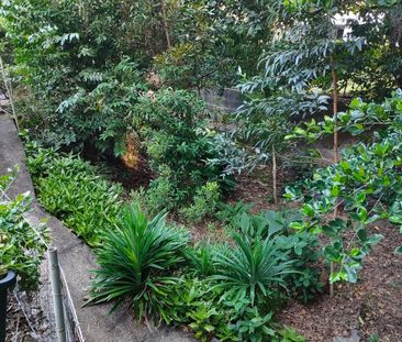 RARE FIND IN FRESHWATER - Photo 1