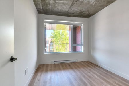 ERIN Condo apartments for rent in Pointe-Saint PSC - Photo 4