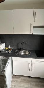 Location Appartement 1 pièce 12m² ST SAULVE 59880 - Photo 3