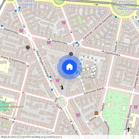 Księcia Bogusława X, Szczecin, Śródmieście-Centrum