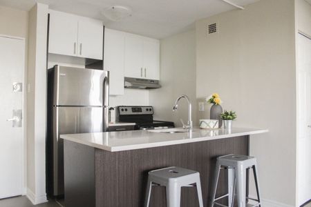 1101 Rue Rachel Est condo — Montréal, QC (1-Bedroom) - 1 Bedroom - Photo 5