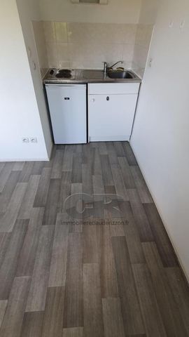 Location Appartement 1 pièce 27m² NANCY 54000 - Photo 4