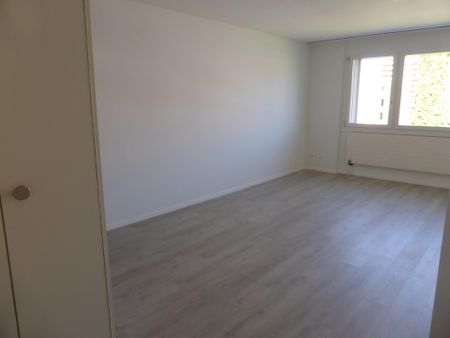 Gemütliches Studio an ruhiger Lage - Photo 5