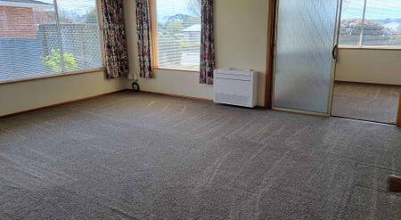 Large 130m2 Two Bedroom Brick Home - Photo 3