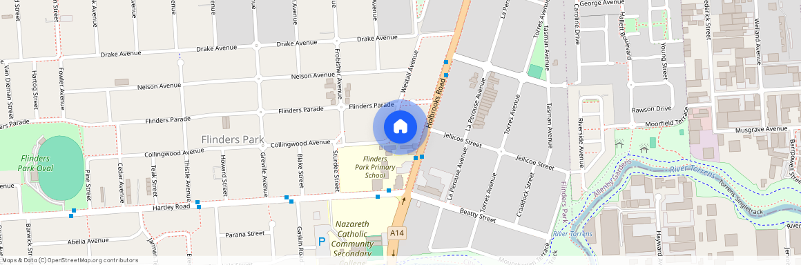 31 Westall Avenue, SA 5025, Flinders Park