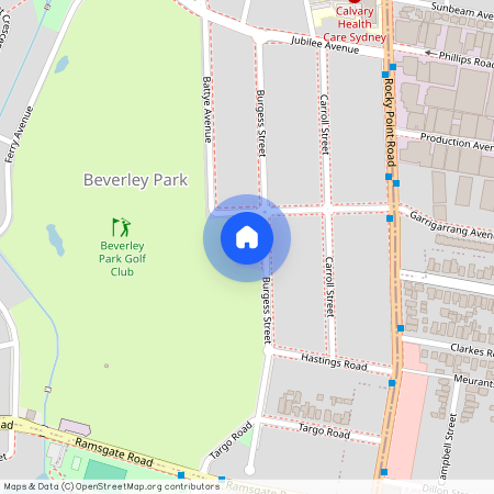 45 Burgess Street, NSW 2217, Beverley Park