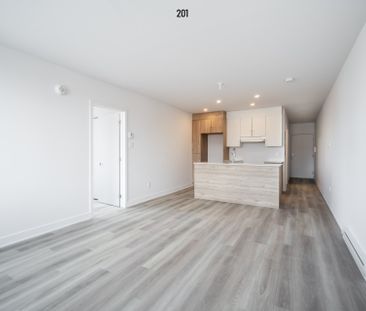 Condo for rent, Montréal (Rosemont/La Petite-Patrie) - Photo 2