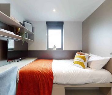 Bronze Ensuite Lower Level - Photo 3