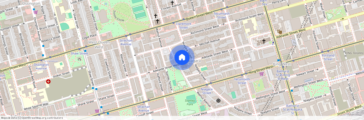 784 Adelaide Street nd, Toronto