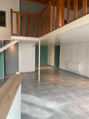 Location Appartement 3 pièces 61m² CALUIRE ET CUIRE 69300 - Photo 1