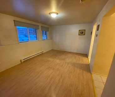 545 Rue De Pointe Gatineau (Gatineau) Beau Studio à Louer - Photo 2