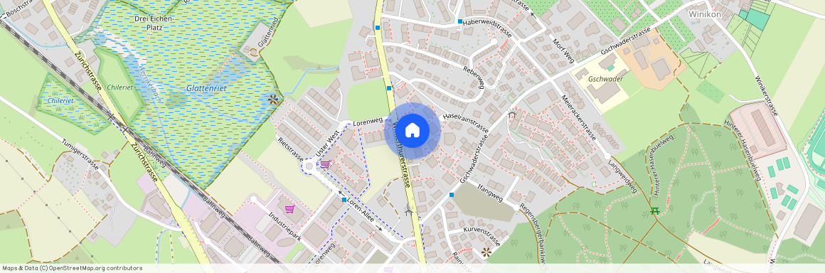 Winterthurerstrasse 70, 8610, Uster