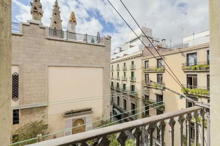 Carrer Nou de la Rambla, Barcelona, Catalonia - Foto 3