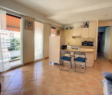 Location Appartement 2 pièces 39m² JUAN LES PINS 06160 - Photo 4