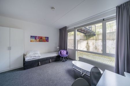 Te huur: Kamer Eerste Oude Heselaan in Nijmegen - Foto 2