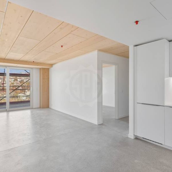 2.5 Zimmer, 50 m², 9. Stock - Photo 1