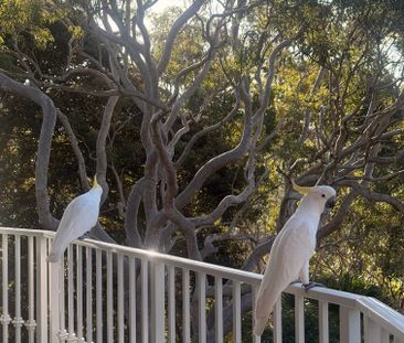 Cremorne - Photo 6