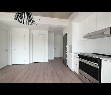 1569 rue Saint-Hubert, Montréal, QC - Photo 2