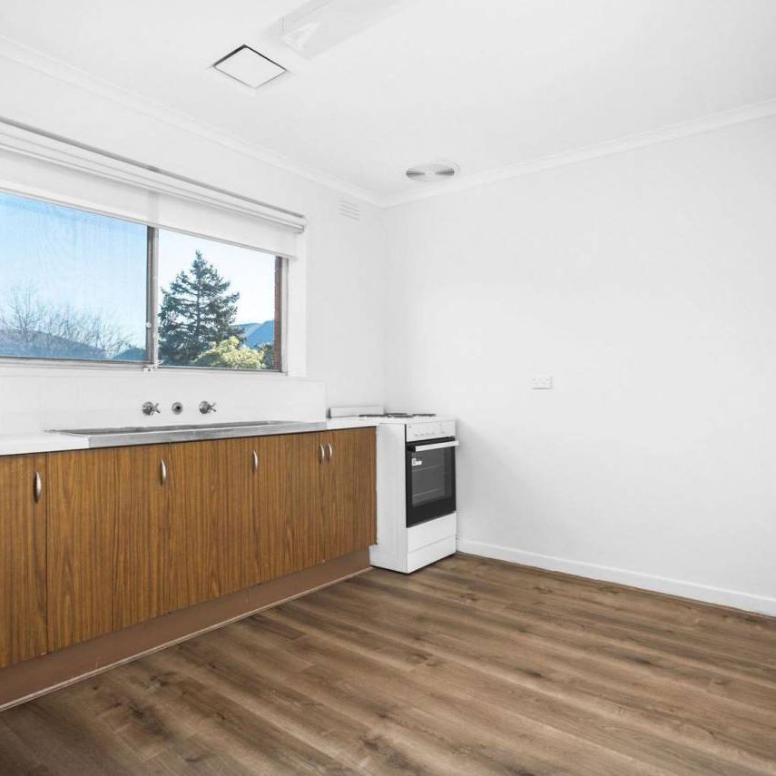 SPACIOUS | FRESHLY PAINTED | GREAT LOCATION - Photo 1