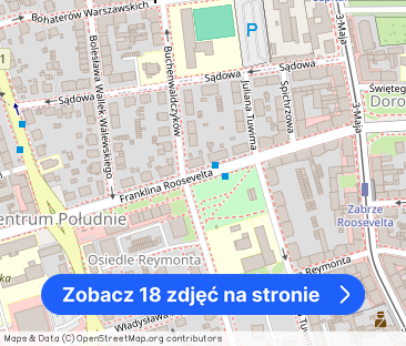 3 pokojowe mieszkanie z ogrodem – po generalnym remoncie - Zdjęcie 1