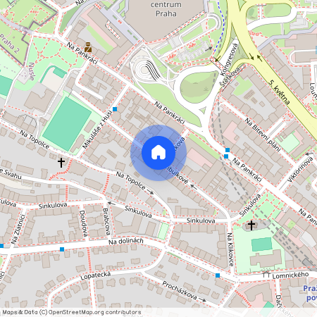 Marie Cibulkové, Praha