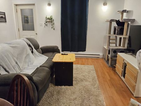 35 rue Célina Trois-Rivières - Photo 3