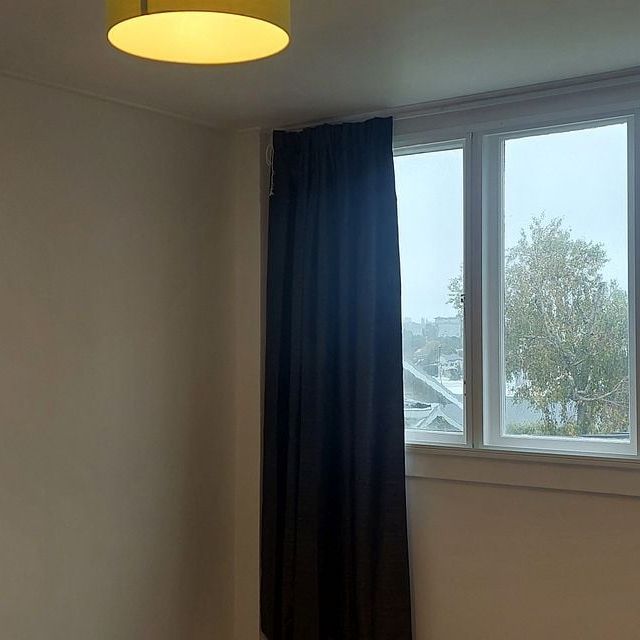 1 Bedroom Apartment on Carlton Gore Rd, Newmarket - Photo 1
