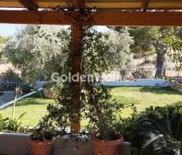 Μονοκατοικία για ενοικίαση - Ανάβυσσος, - Photo 3