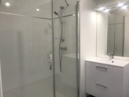 Appartement RUE MARIE CLEMENCE FOURIAUX - Photo 4