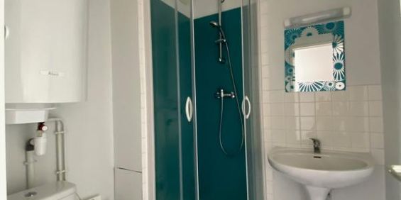 Location Appartement 1 pièce 17m² CHATEAUBRIANT 44110 - Photo 3