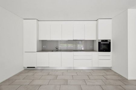 Moderno e luminoso 2.5 locali immerso nel verde - Foto 3