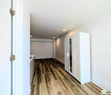100-5687, Rue St-Hubert, Rosemont / La Petite Patrie à louer - Photo 1
