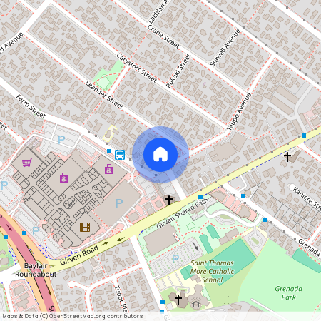 20a Taupo Avenue, Mount Maunganui, Tauranga