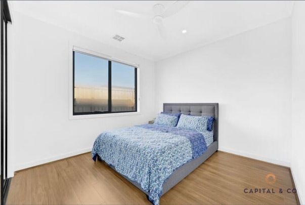 Donnybrook - Photo 1