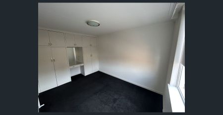 Sun-filled Spacious Two Bedroom Apartment! - Photo 2