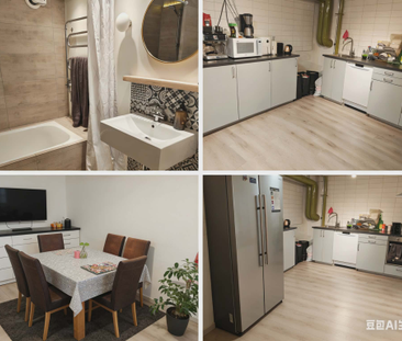 Harald Blåtands gränd, Lund - Photo 6