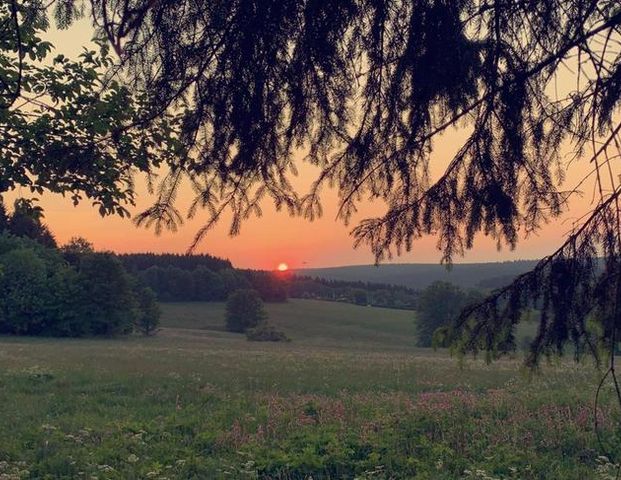 3 Zimmer Wohnung in Clausthal-Zellerfeld - Photo 1