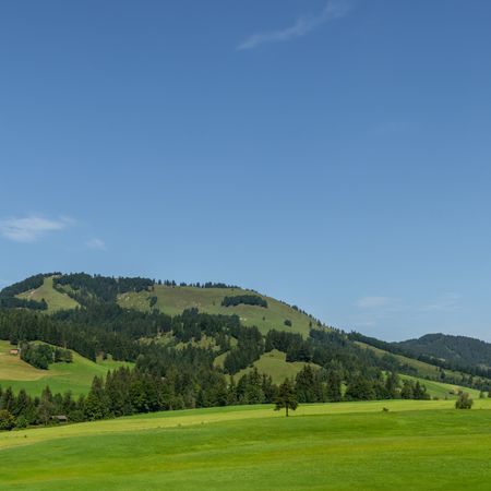 Große Dachgeschosswohnung mit gemütlicher Terrasse - Foto 3