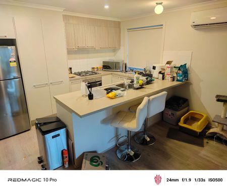 Elizabeth North - Photo 3