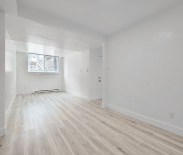 Nouveauté sur le marché Appartement à louer - Montréal (Rosemont/La... - Photo 3