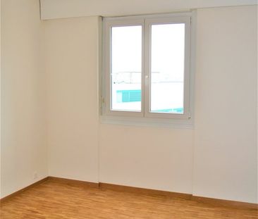 Gradelle - Au dessus du parc des Eaux-Vives - Foto 5