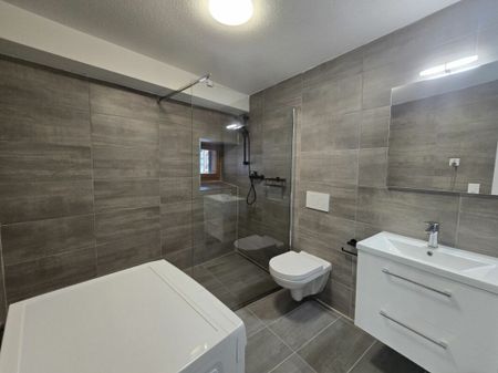 Appartement rénové de 2,5 pièces au rez-de-chaussée - Photo 4