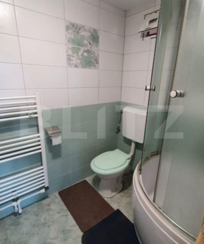 Apartament de 1 camera, decomandat, zona strazii Artelor - Fotografie 5