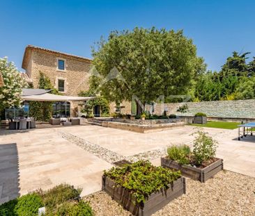 Proche Gordes - Magnifique Mas restauré au milieu des oliviers - Photo 6