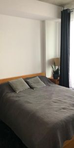 3 1/2 - Montréal (Ville-Marie (Centre-ville)) - 1 700 $/mois - Photo 3