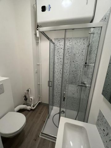 Location Appartement 1 pièce Meublé 16m² ANGERS 49000 - Photo 4